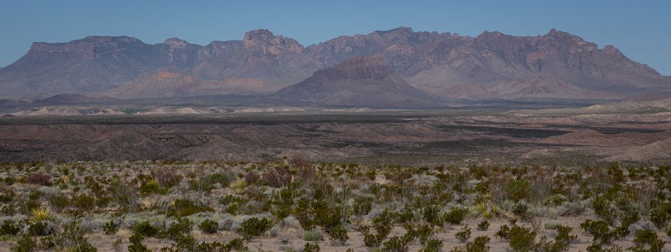 Camp de Leon view of the Chisos