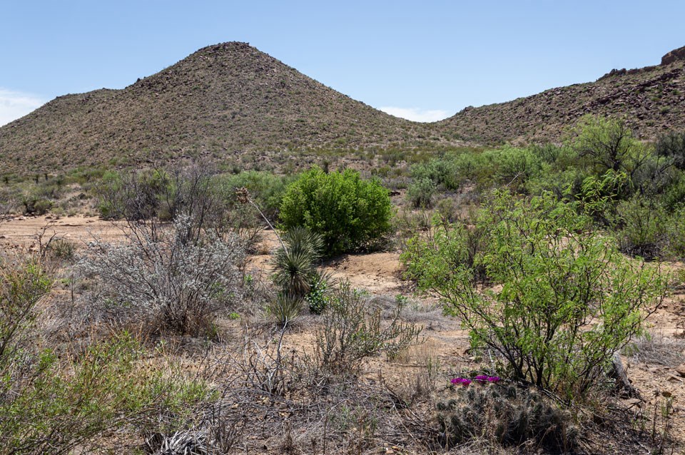 Primitive Roadside Campsite Roys Peak Vista Big Bend National Park U S National Park Service