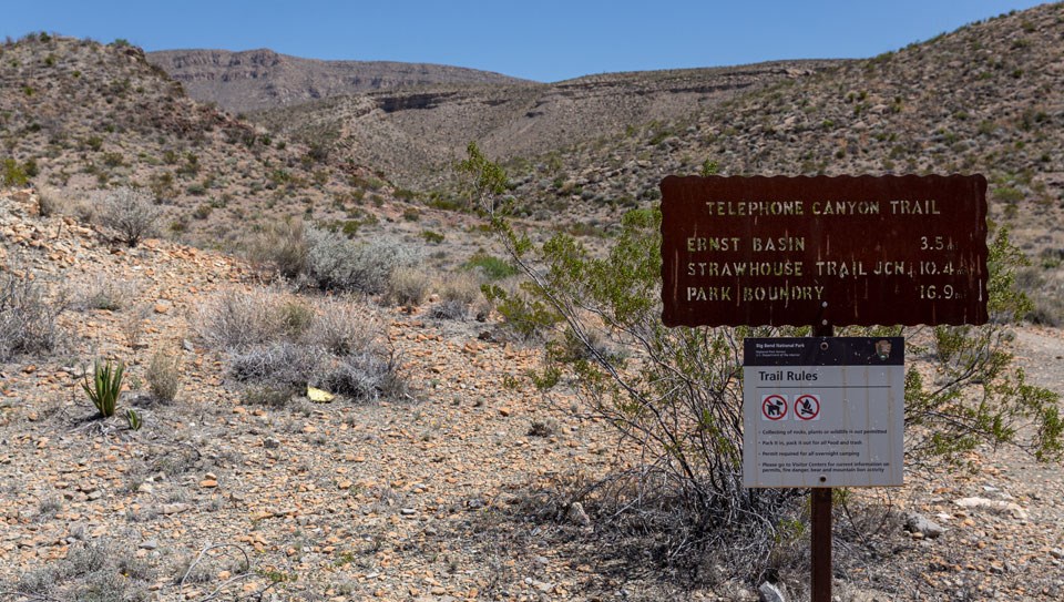 Primitive Roadside Campsites Telephone Canyon Big Bend National Park U S National Park Service