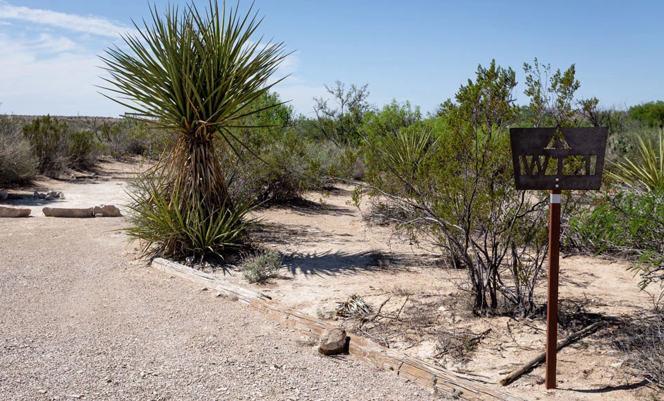 Willow Tank Primitive Campsite Willow Tank Primitive Campsite