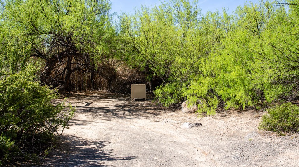 Campsite View Gauging Station