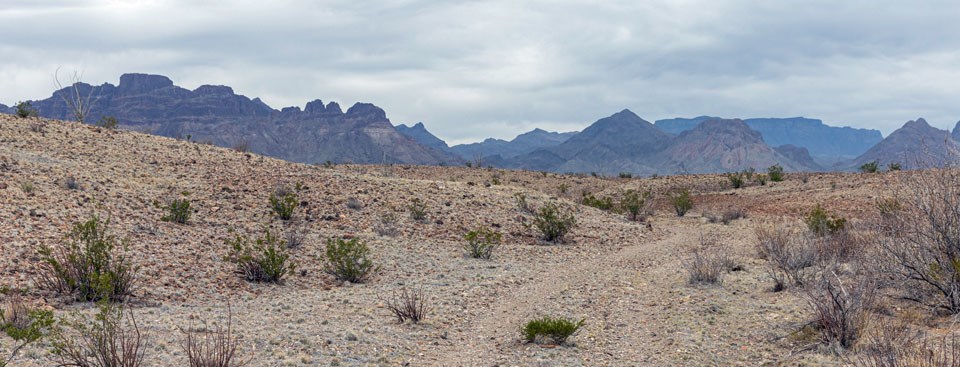 Road to Dominguez Campsite