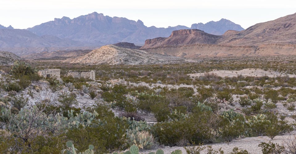 Desert view near Fresno Campsite