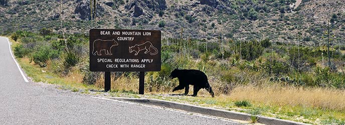 Laws &amp; Policies - Big Bend National Park (U.S. National Park Service)