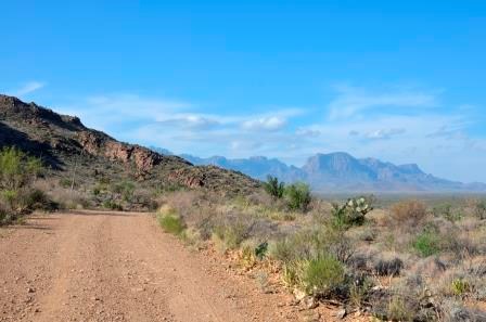 The Chisos Mountains from Grapevine Hills