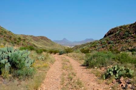 Paint Gap Road