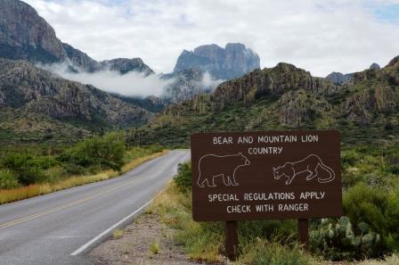 Image result for big bend national park