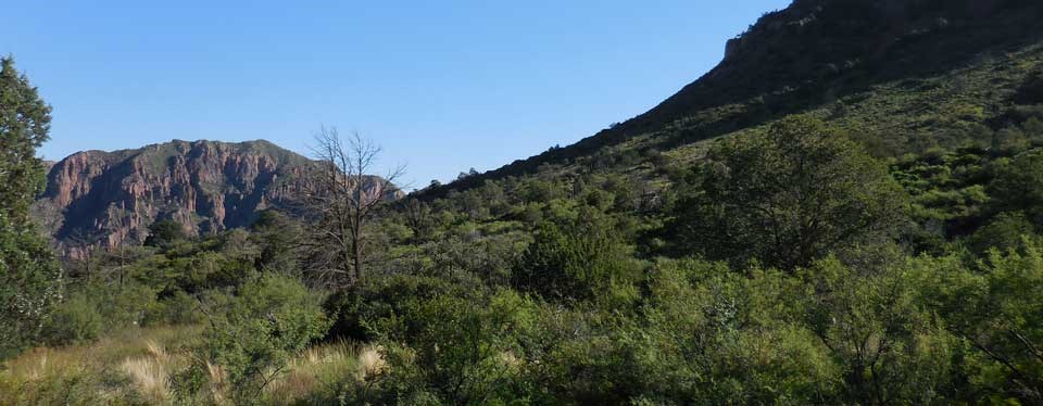 Juniper Flat area