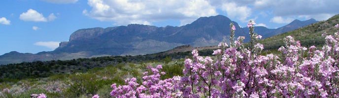 scenic drives big bend