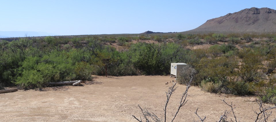 Grapevine Hills Campsite 4