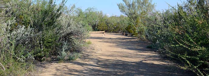 Grapevine HIlls 5 (GH-5)