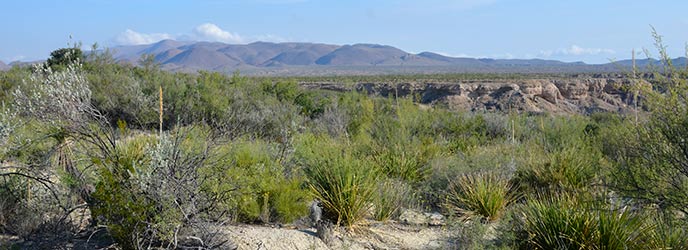 Grapevine Hills 5 (GH-5) View