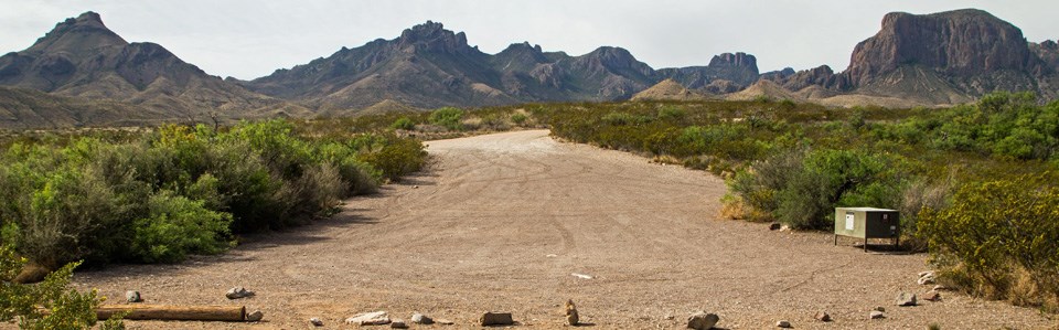 Grapevine Hills Campsite 1