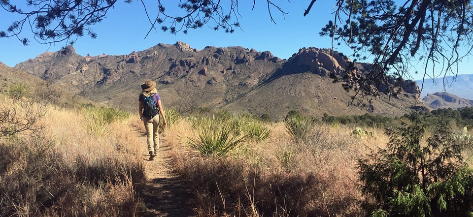 desert hiker