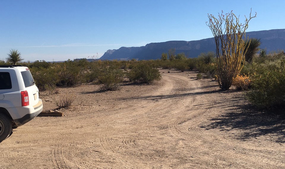 Ocotillo Grove Campsite