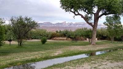 Rio Grande Village Group Tent Campsites