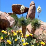 Balanced Rock