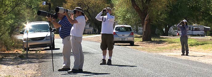 Bird Watching Tour Bird Watching Tour