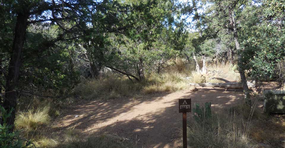 Boulder Meadow 5 Campsite
