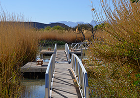 Rio Grande Village Nature Trail Boardwalk Rio Grande Village Nature Trail Boardwalk