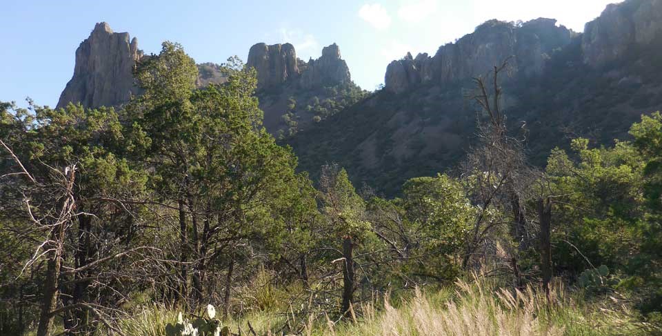 Boulder Meadow Area