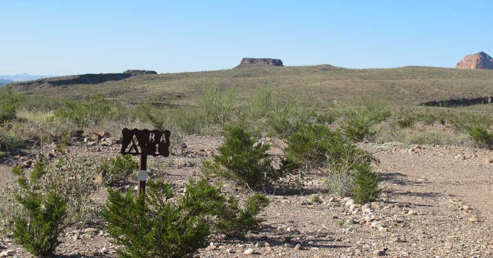 Primitive Roadside Campsites — Buenos Aires Big Bend National Park (U
