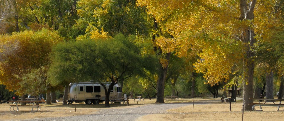 Cottonwood Campground