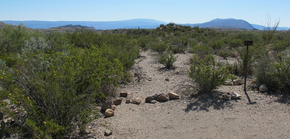 Elephant Tusk primitive site