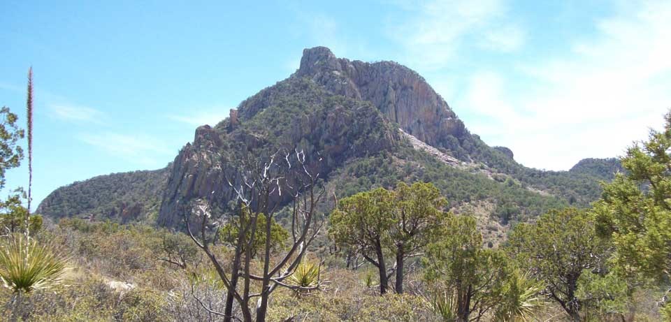 View of Emory Peak from Laguna West area