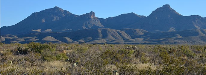 Grapevine Hills Road Vista Grapevine Hills Road Vista