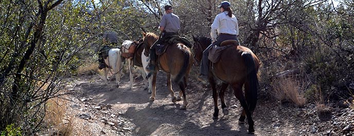 Horseback Riding