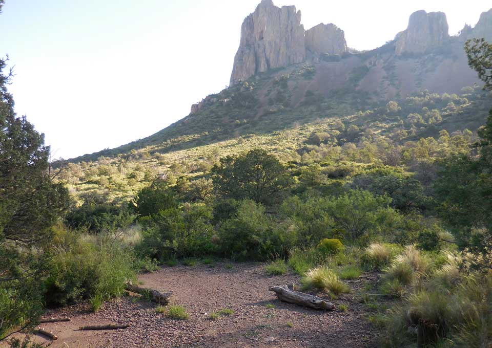 Juniper Flat 2 Campsite