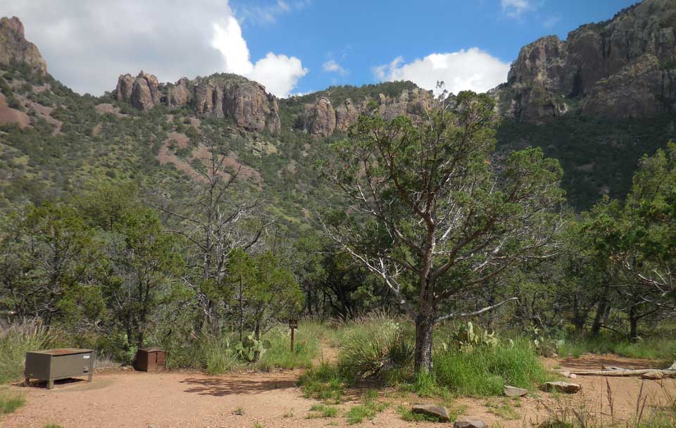 Juniper Flat 3 Campsite