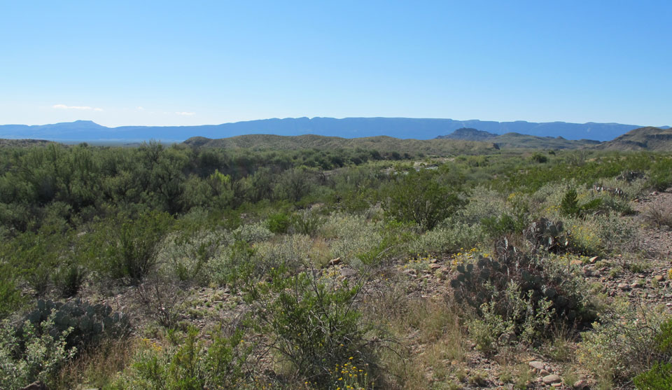 View from Johnson Ranch Campsite 1