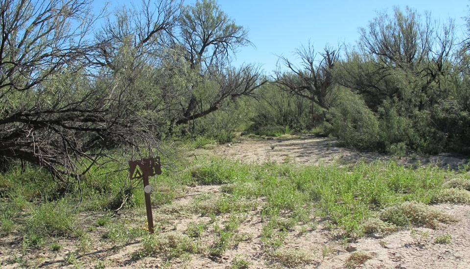 Johnson Ranch Campsite 1