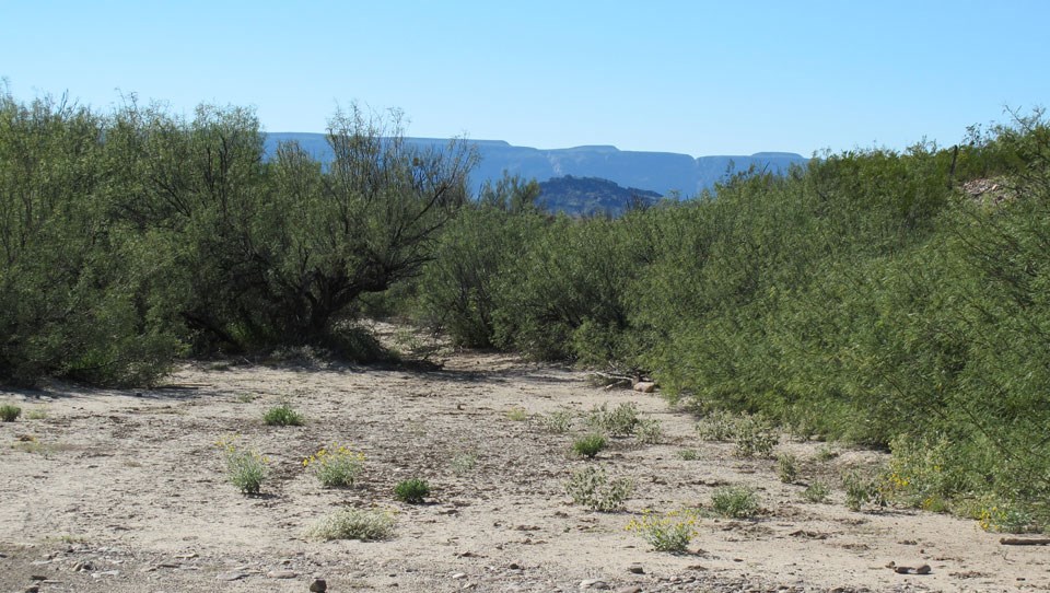 Johnson Ranch Campsite 2