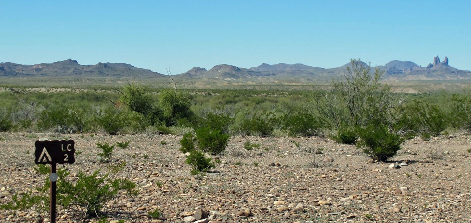 Loop Camp site 2