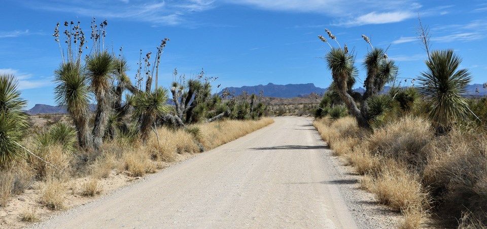 Maverick Road View