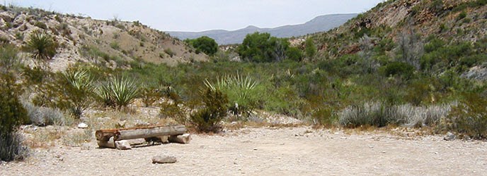 McKinney Spring Primitive Roadside Campsite McKinney Spring Primitive Roadside Campsite