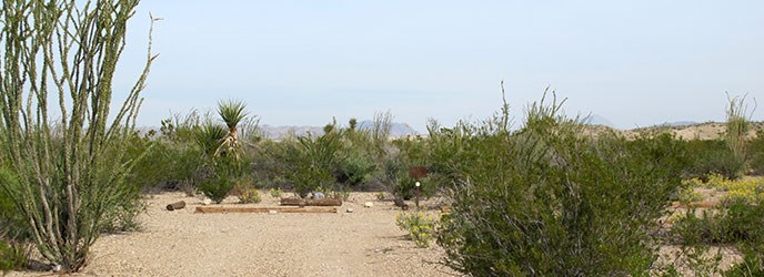 Ocotillo Grove (OG-1) Ocotillo Grove (OG-1)