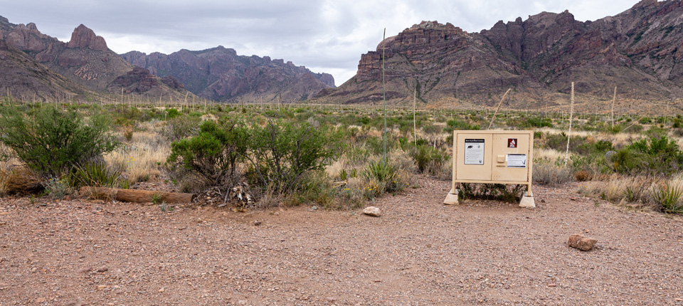 Pine Canyon 4 Campsite