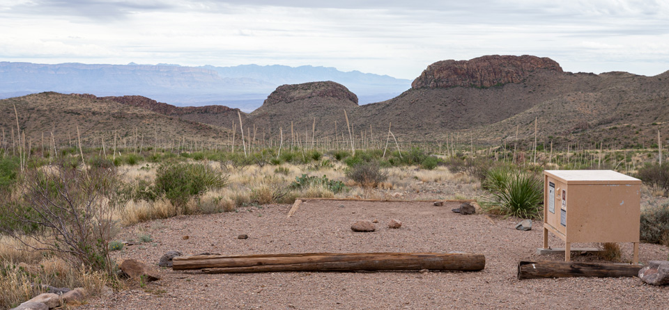 Pine Canyon 5 Campsite
