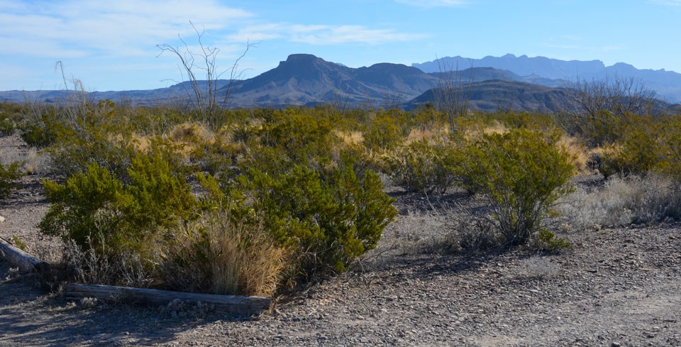 View from Rattlesnake Mountain Campsite