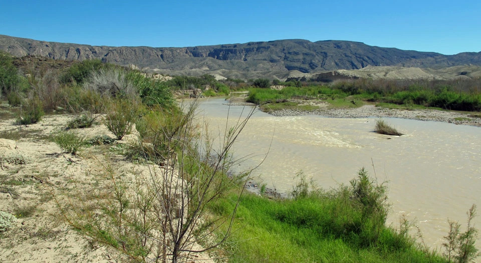 View of the River near Talley 3 and 4 View of the River near Talley 3 and 4
