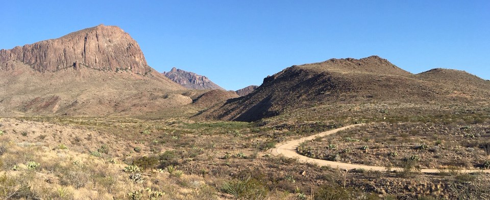 View along the Glenn Springs Road