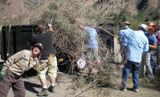 park volunteers