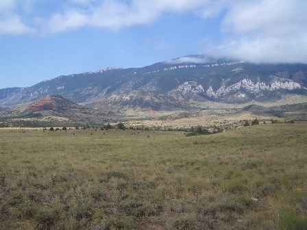 Grasslands in the Bighorn Basin