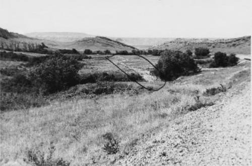 Old Wood Road 1975