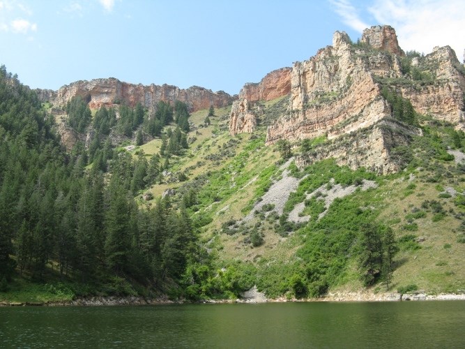 Douglas Fir and Ponderosa Pine Forest in Black Canyon