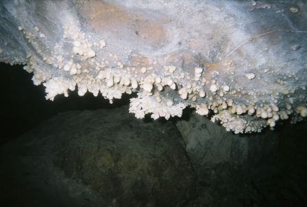 Cave popcorn inside Bighorn Cavern Cave popcorn inside Bighorn Cavern